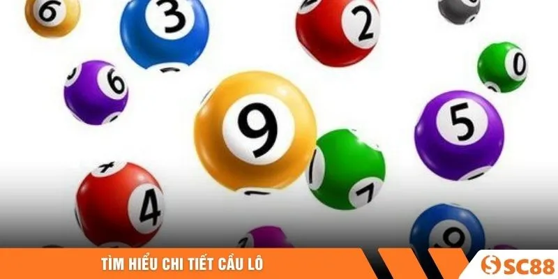 Tìm hiểu chi tiết cầu lô